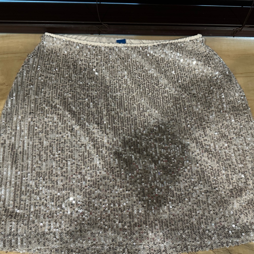 Silver Sequin Skirt